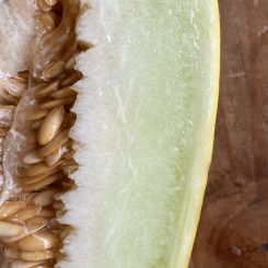 Melón amarillo