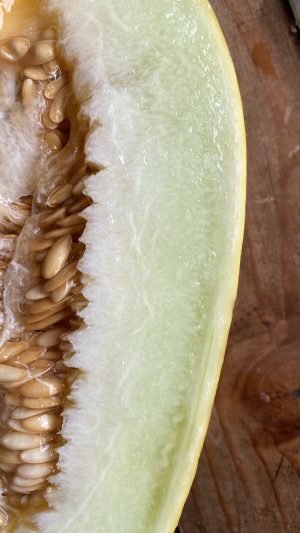 Melón amarillo