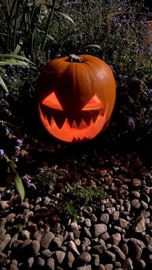 Zapallo halloween