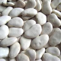 Porotos pallares