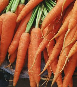 Zanahoria Chatennay