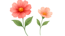 semillas_huerta_flores 1